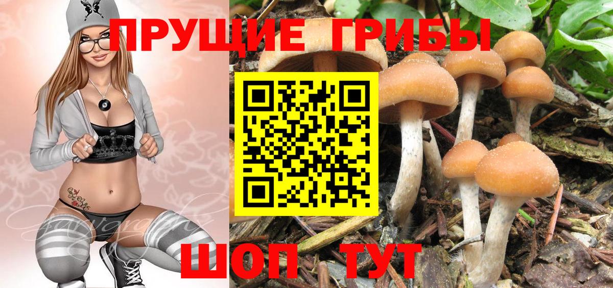 Псилоцибиновые грибы Cubensis  Галлюциногенные грибы прущие грибы  Вход с VPN  Елизово 
