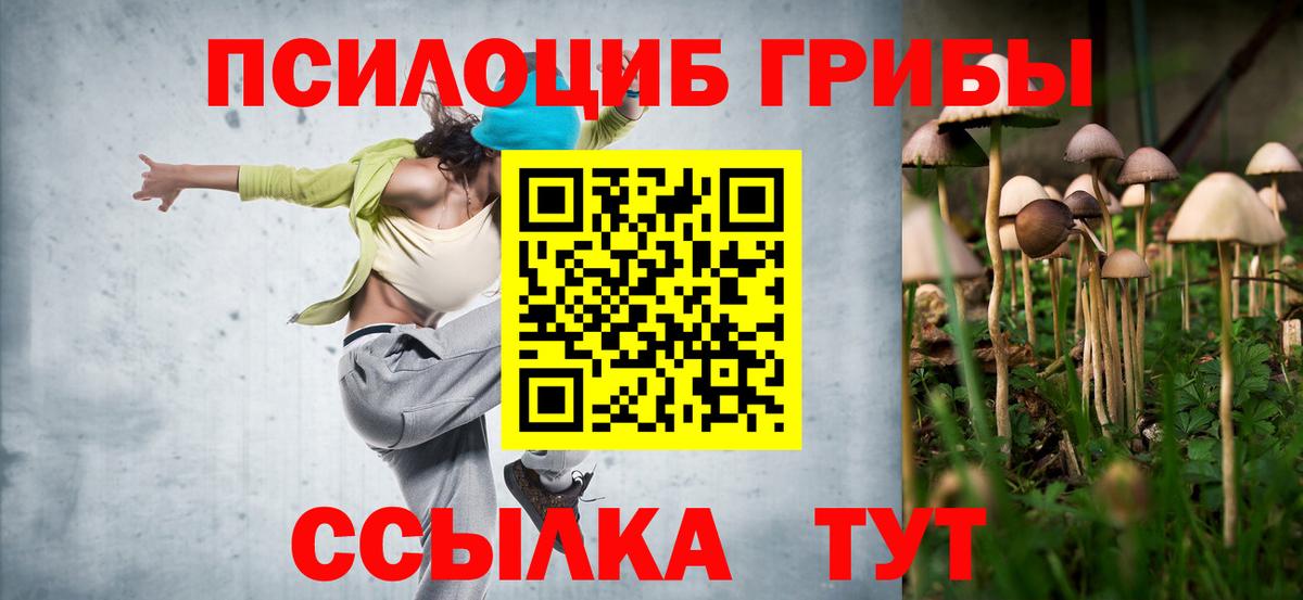 Псилоцибиновые грибы Cubensis Елизово